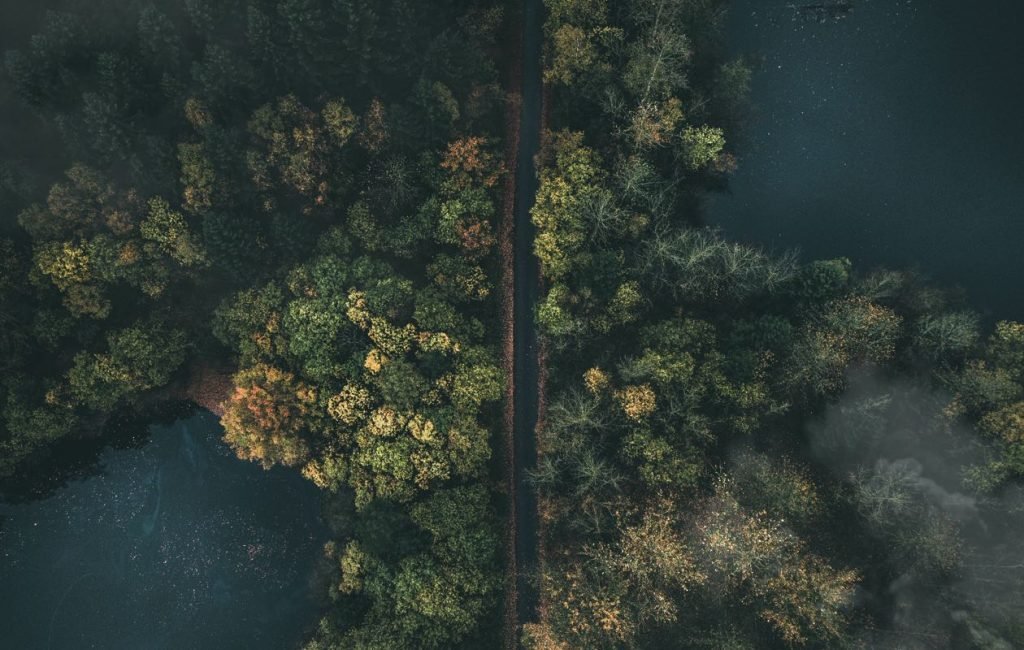 Odio Utsem Nulla Pharetra Diam Sitametnisl Elementum Jan Henrik Franz 1063148 Unsplash 1024x650