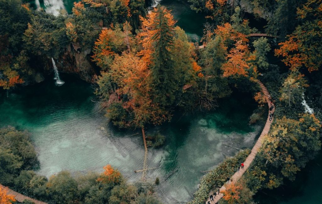 Odio Utsem Nulla Pharetra Diam Sitametnisl Elementum Peter Jan Rijpkema WI6o8OwUwdw Unsplash 1024x650